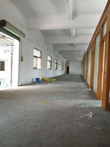 精工標(biāo)準(zhǔn)，輕享無憂——精品廠房，火熱招租中